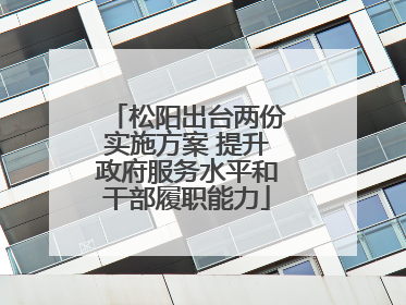松阳出台两份实施方案 提升政府服务水平和干部履职能力