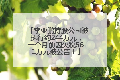 李亚鹏持股公司被执行约244万元，一个月前因欠税561万元被公告！