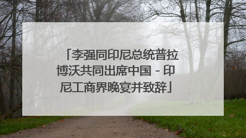 李强同印尼总统普拉博沃共同出席中国－印尼工商界晚宴并致辞