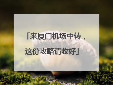 来厦门机场中转，这份攻略请收好