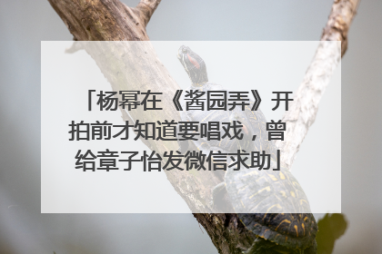 杨幂在《酱园弄》开拍前才知道要唱戏，曾给章子怡发微信求助