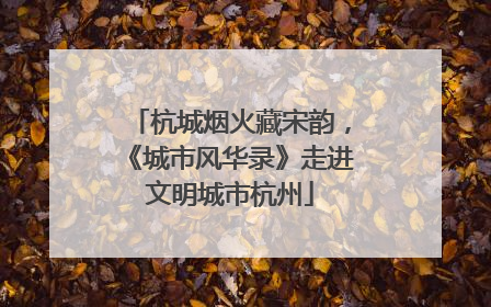 杭城烟火藏宋韵，《城市风华录》走进文明城市杭州