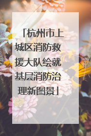 杭州市上城区消防救援大队绘就基层消防治理新图景