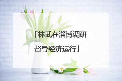 林武在淄博调研督导经济运行