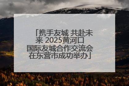携手友城 共赴未来 2025黄河口国际友城合作交流会在东营市成功举办
