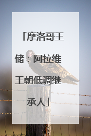 摩洛哥王储：阿拉维王朝低调继承人