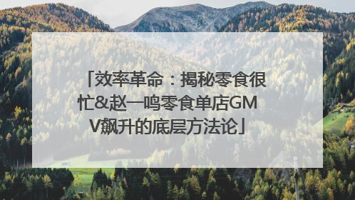 效率革命：揭秘零食很忙&赵一鸣零食单店GMV飙升的底层方法论