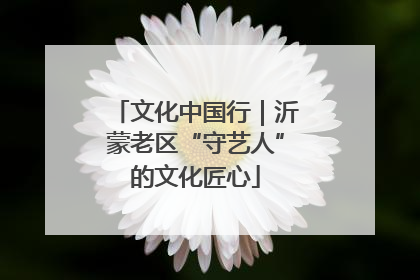文化中国行｜沂蒙老区“守艺人”的文化匠心