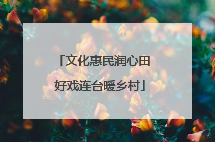 文化惠民润心田 好戏连台暖乡村