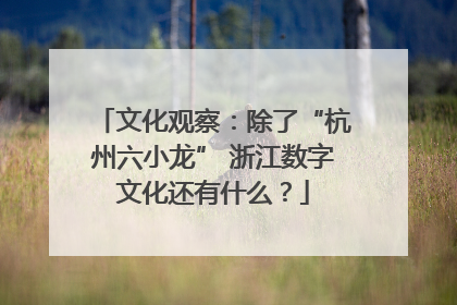 文化观察：除了“杭州六小龙” 浙江数字文化还有什么？