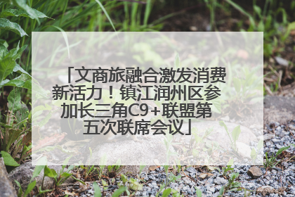 文商旅融合激发消费新活力！镇江润州区参加长三角C9+联盟第五次联席会议