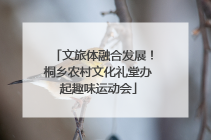 文旅体融合发展！桐乡农村文化礼堂办起趣味运动会