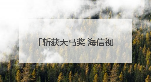 斩获天马奖 海信视像投资者关系管理获资本市场高度认可