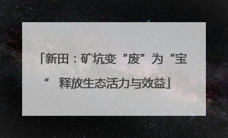 新田：矿坑变“废”为“宝” 释放生态活力与效益