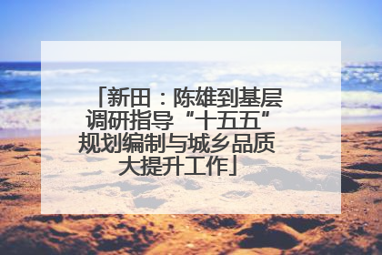新田：陈雄到基层调研指导“十五五”规划编制与城乡品质大提升工作