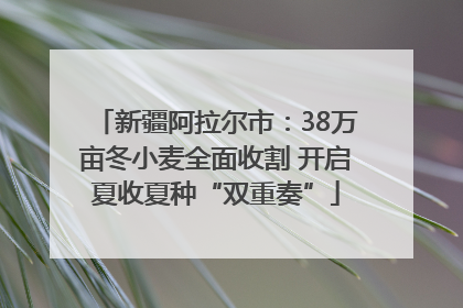 新疆阿拉尔市：38万亩冬小麦全面收割 开启夏收夏种“双重奏”