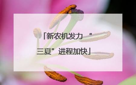 新农机发力 “三夏”进程加快