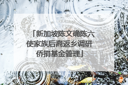 新加坡陈文确陈六使家族后裔返乡调研侨捐基金管理