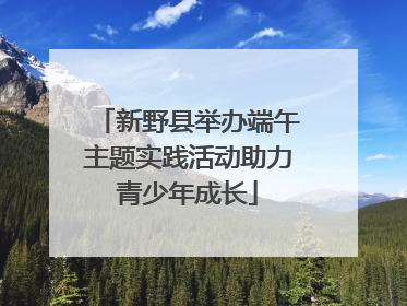新野县举办端午主题实践活动助力青少年成长