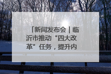 新闻发布会｜临沂市推动“四大改革”任务，提升内部审计监督效能