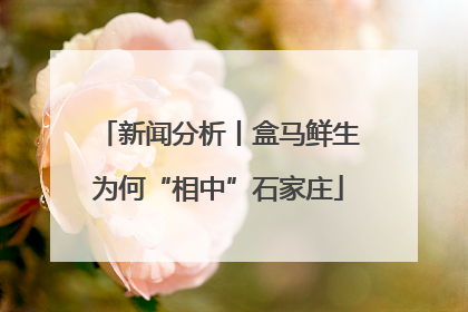 新闻分析丨盒马鲜生为何“相中”石家庄