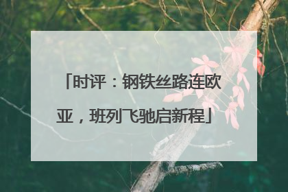 时评：钢铁丝路连欧亚，班列飞驰启新程