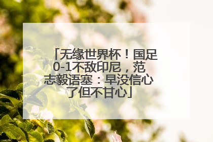 无缘世界杯！国足0-1不敌印尼，范志毅语塞：早没信心了但不甘心
