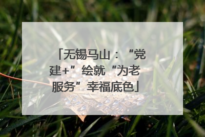 无锡马山：“党建+”绘就“为老服务”幸福底色