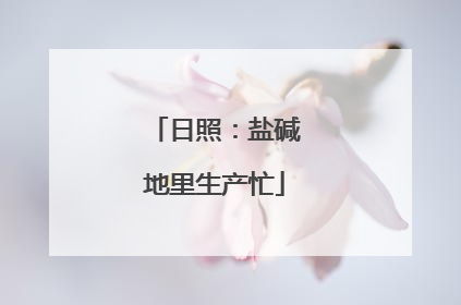 日照：盐碱地里生产忙