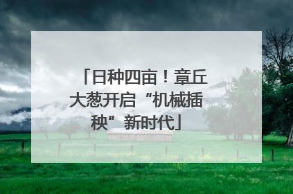 日种四亩！章丘大葱开启“机械插秧”新时代