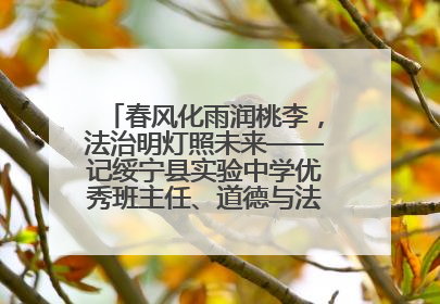 春风化雨润桃李，法治明灯照未来——记绥宁县实验中学优秀班主任、道德与法治教师张