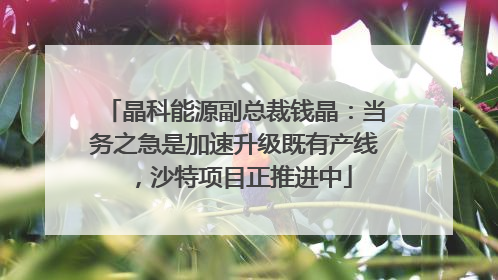 晶科能源副总裁钱晶：当务之急是加速升级既有产线，沙特项目正推进中