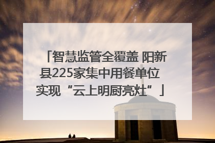 智慧监管全覆盖 阳新县225家集中用餐单位实现“云上明厨亮灶”