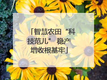 智慧农田“科技范儿” 稳产增收根基牢