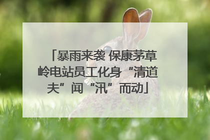 暴雨来袭 保康茅草岭电站员工化身“清道夫”闻“汛”而动