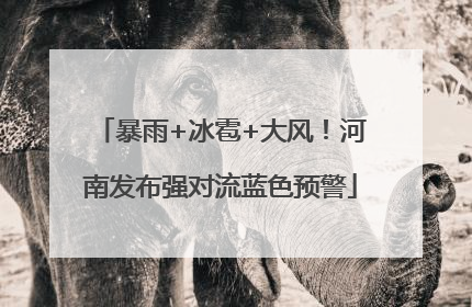 暴雨+冰雹+大风！河南发布强对流蓝色预警