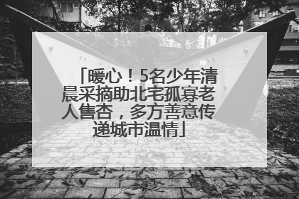暖心！5名少年清晨采摘助北宅孤寡老人售杏，多方善意传递城市温情