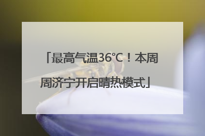 最高气温36℃！本周周济宁开启晴热模式