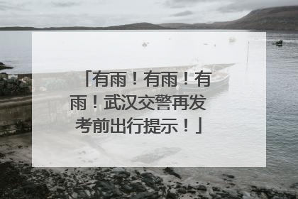 有雨！有雨！有雨！武汉交警再发考前出行提示！