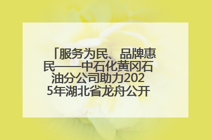 服务为民、品牌惠民——中石化黄冈石油分公司助力2025年湖北省龙舟公开赛（黄冈站）