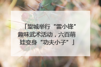 望城举行“雷小锋”趣味武术活动，六百萌娃变身“功夫小子”