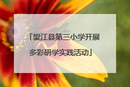 望江县第三小学开展多彩研学实践活动