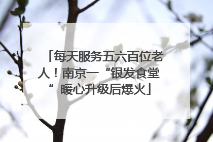 每天服务五六百位老人！南京一“银发食堂”暖心升级后爆火