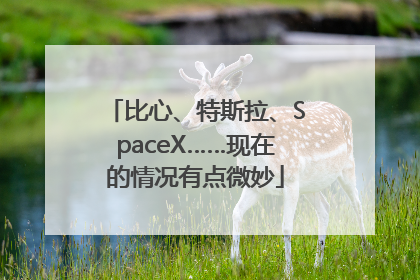 比心、特斯拉、SpaceX……现在的情况有点微妙