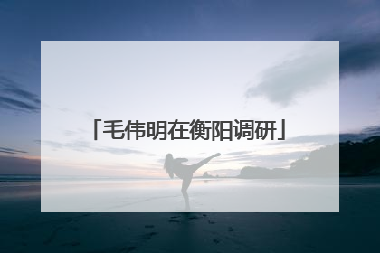 毛伟明在衡阳调研