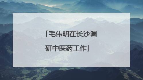毛伟明在长沙调研中医药工作