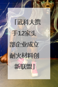 武科大携手12家头部企业成立耐火材料创新联盟