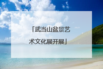 武当山盆景艺术文化展开展