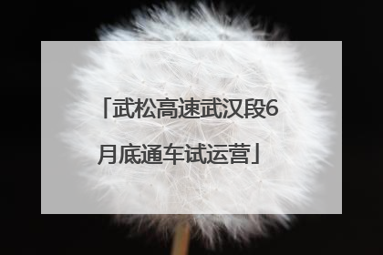 武松高速武汉段6月底通车试运营