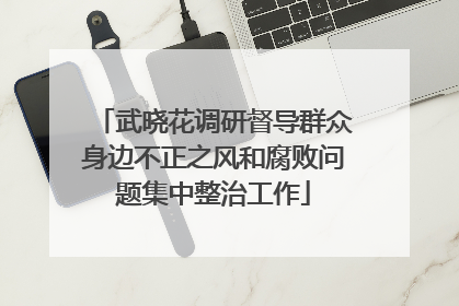 武晓花调研督导群众身边不正之风和腐败问题集中整治工作